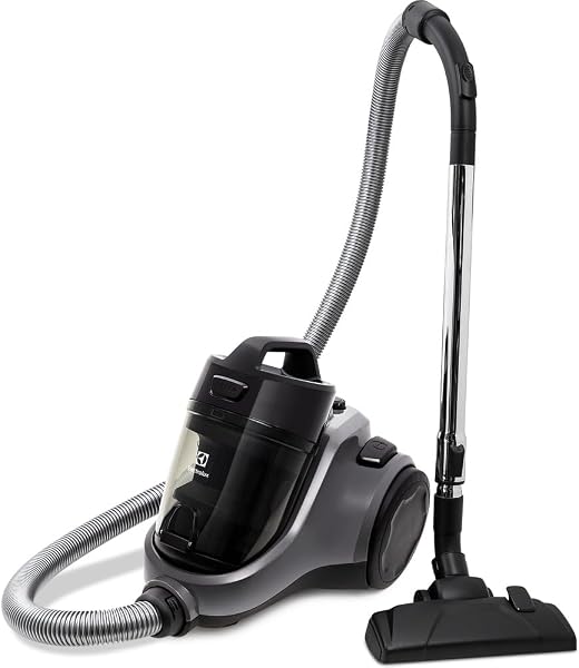 Aspirador Electrolux Easybox EAS30