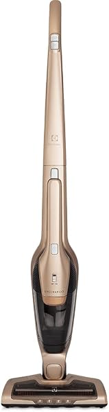 Aspirador Ergorapido ERG26 Electrolux